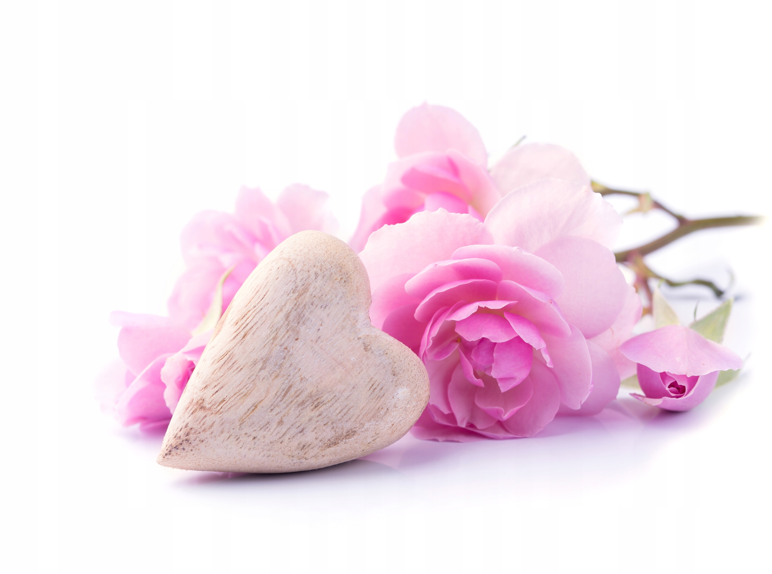 FOTOTAPETA KIWATY GAŁAZKA PIĘKNE SALON