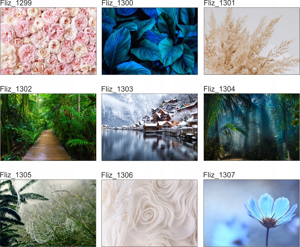 FOTOTAPETA widok pajęczyna dmuchawce 350x245