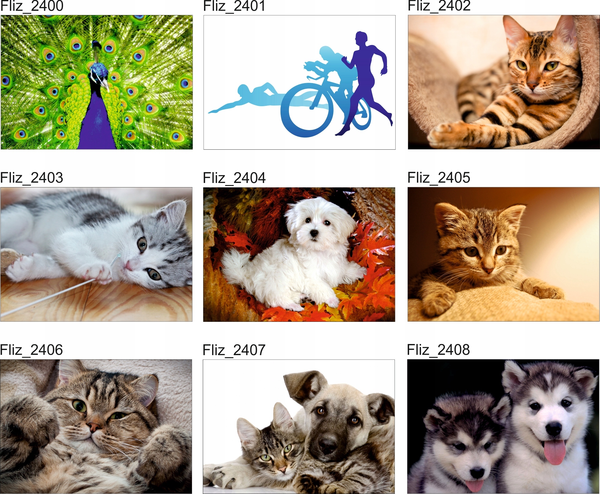 FOTOTAPETA WZÓR W CENTKI PANTERKA