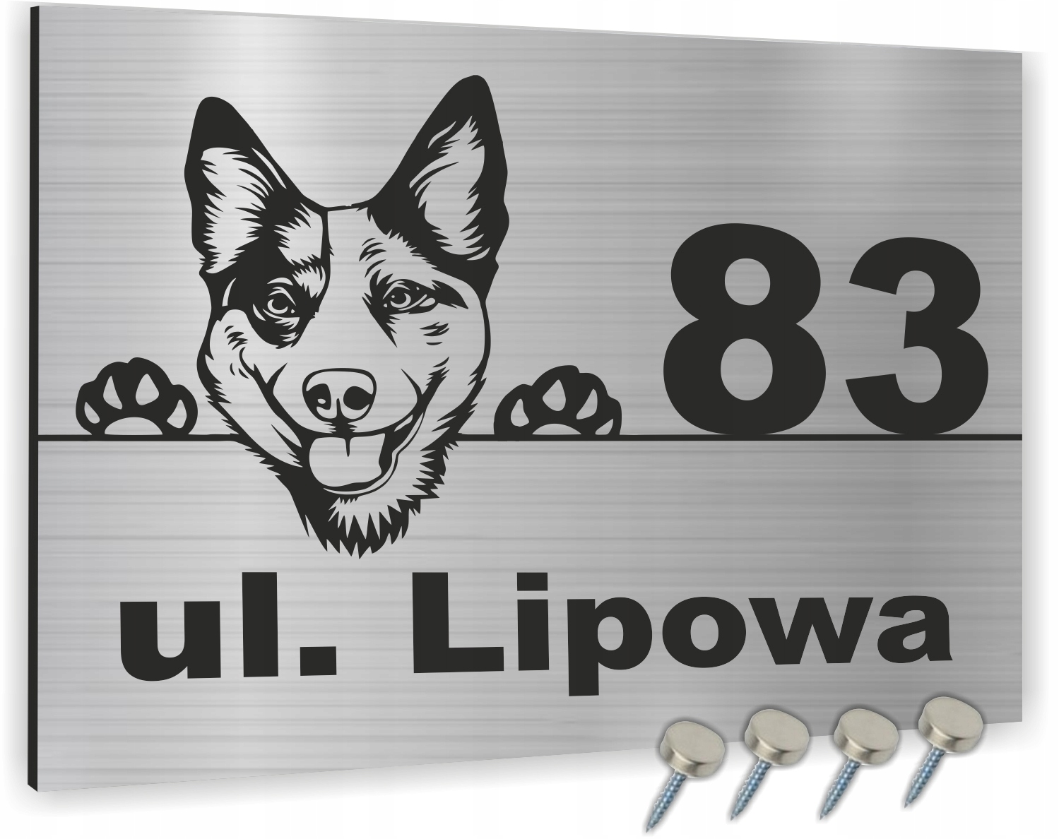 Tabliczka adresowa numer domu NAZWA ULICY 40x30 cm SZYLD NA DOM nazwa ulicy