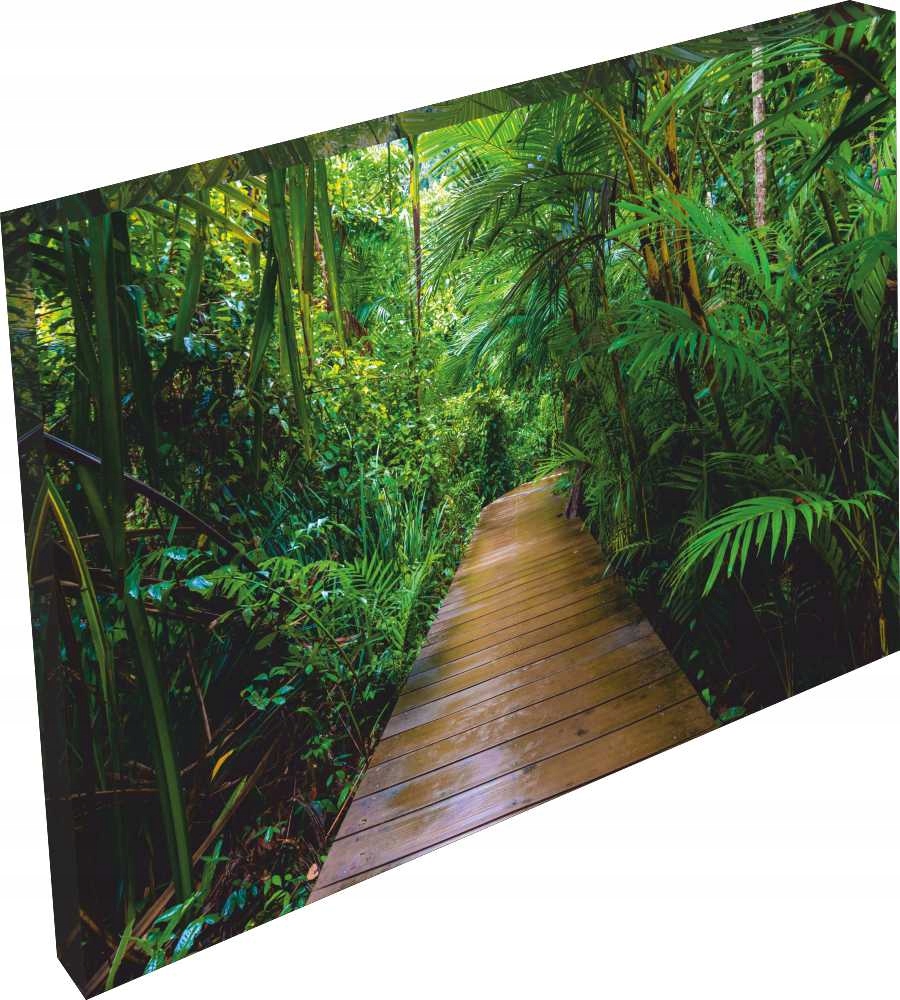 OBRAZ na płótnie las drewniany most dżungla 120
