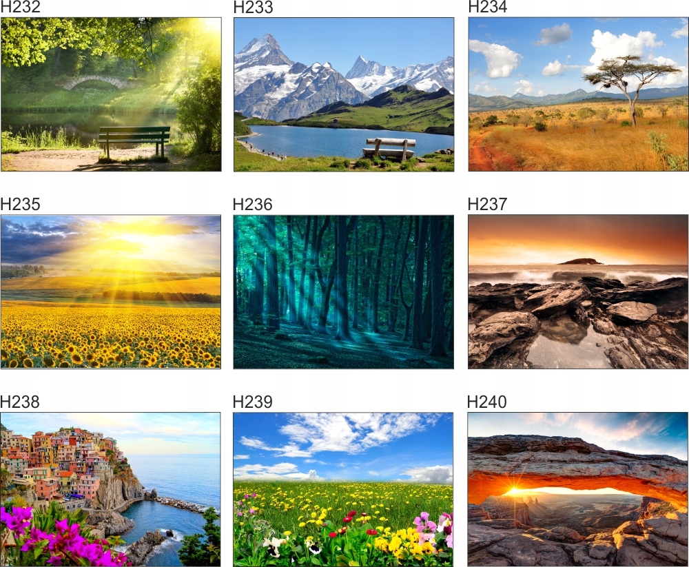 Fototapeta 3D drzewa las brzozy widok 130x80 FLIZ