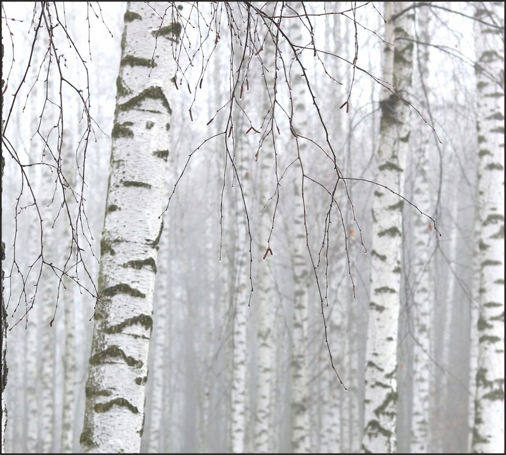 Tło do fotografii produktowej kulinarnej Flat Lay