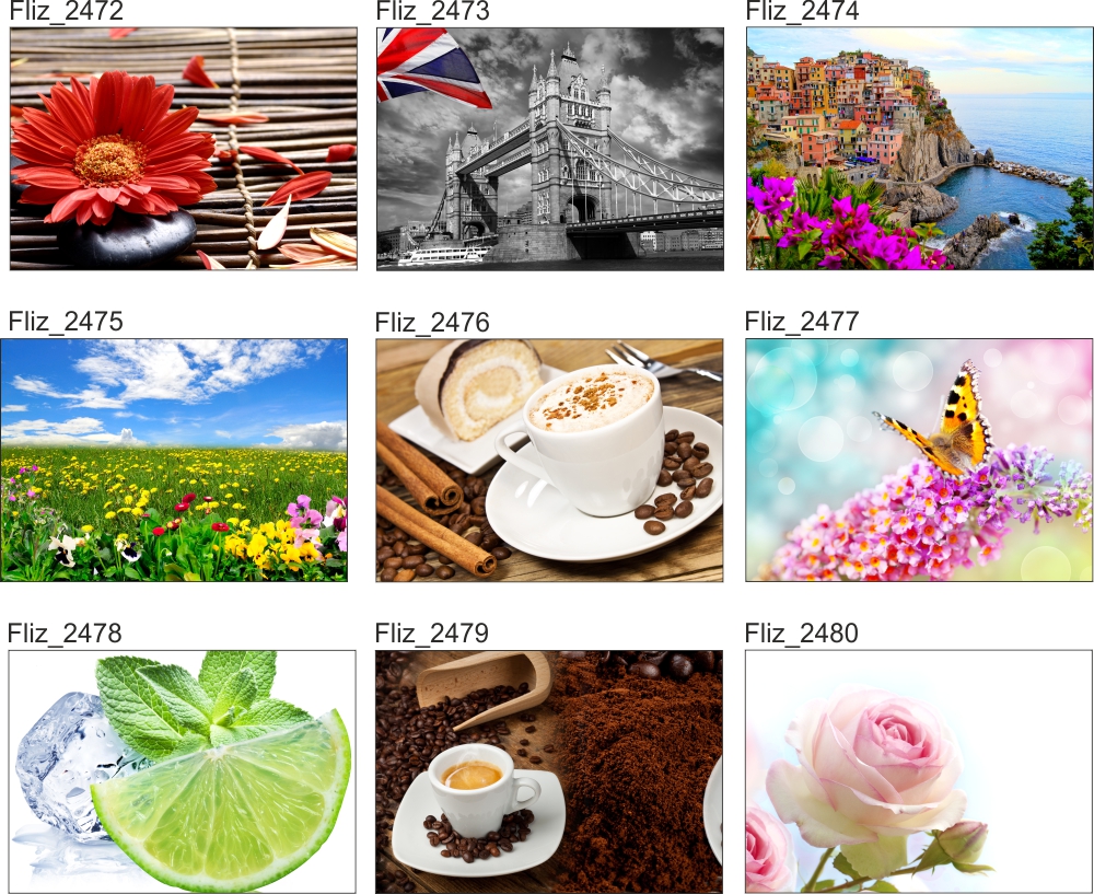 FOTOTAPETA CYTRUSY POMARAŃCZA CYTRYNA LIMONKA