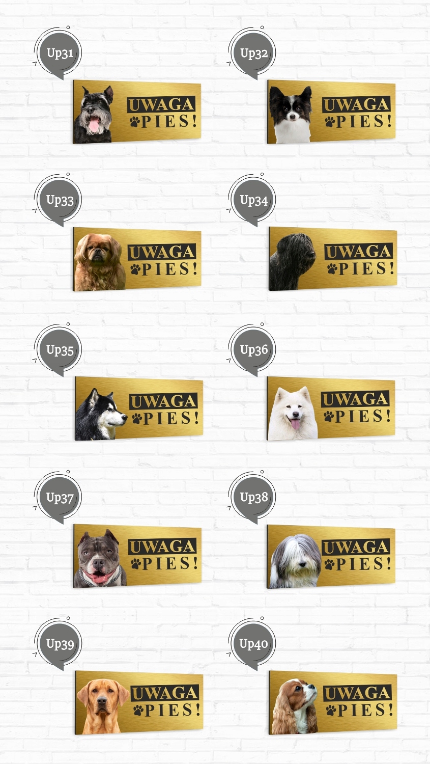 Tabliczka Aluminiowa Ostrzegawcza UWAGA ZŁY PIES