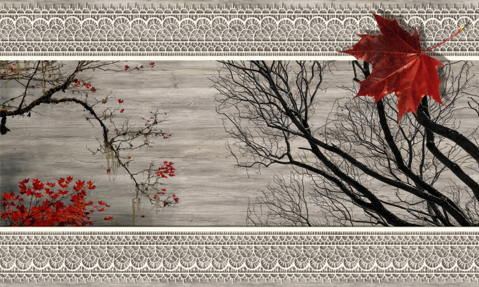 Fototapeta JESIENNE LIŚCIE KLONY DRZEWO 3D 260x180