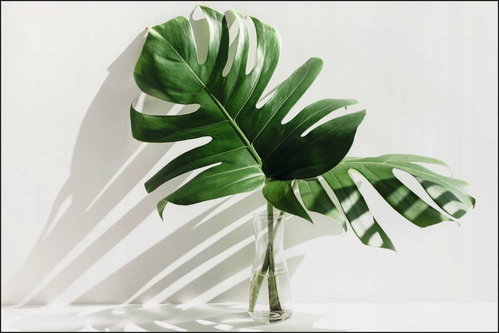 Tło fotograficzne Produktowe FLAT LAT Kulinarne