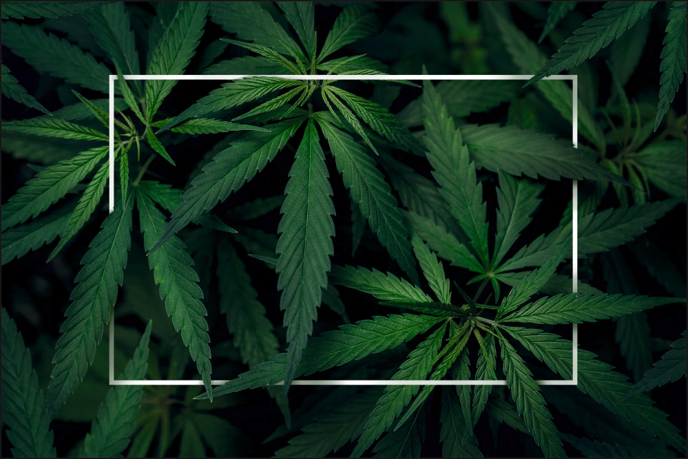 Tło fotograficzne Produktowe FLAT LAT Kulinarne