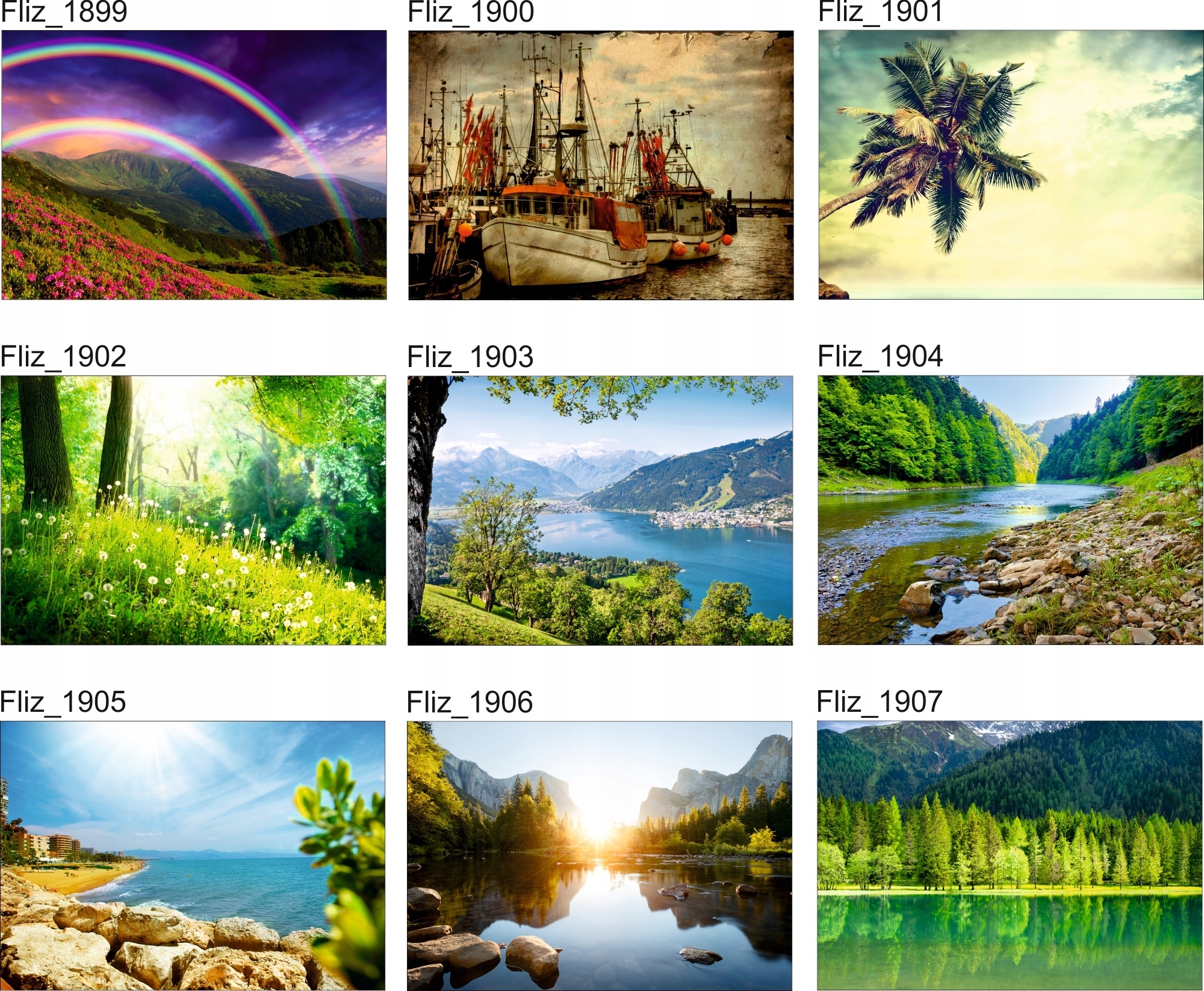 FOTOTAPETA KRAJOBRAZ WIDOK KWITNĄCE DRZEWA