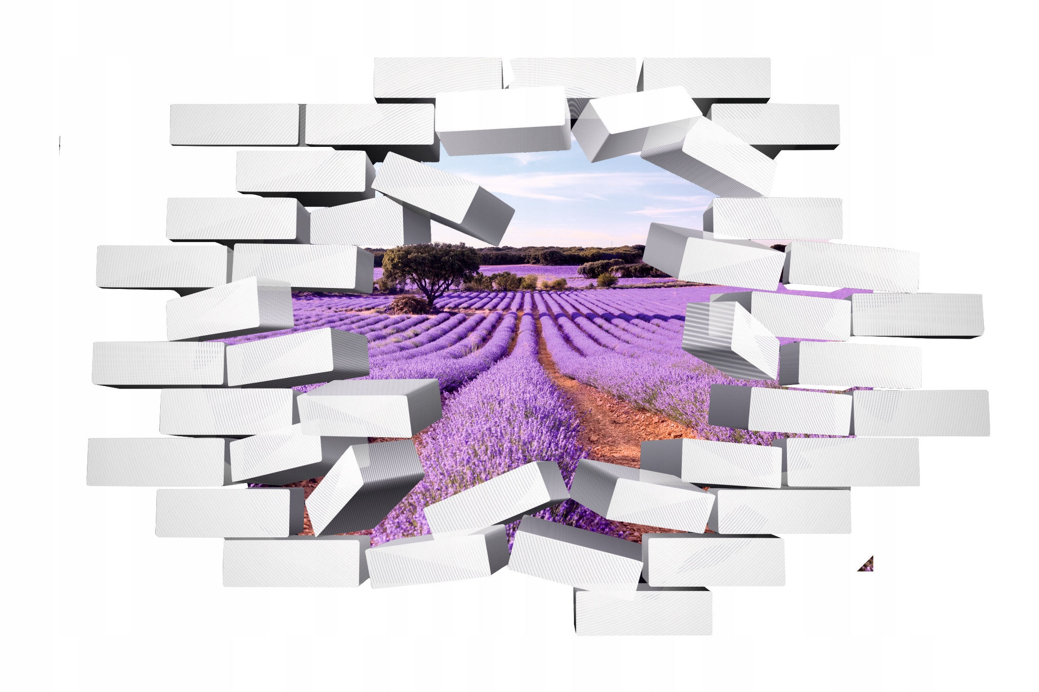 Naklejka samoprzylepna 3D pole lawendy lawenda HIT