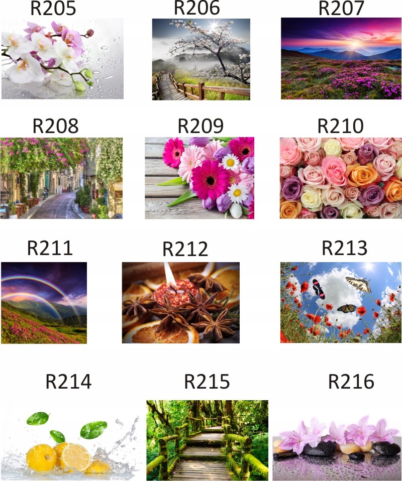 FOTOTAPETA rosliny KWIATY róże DUŻY WYBÓR WZORÓW