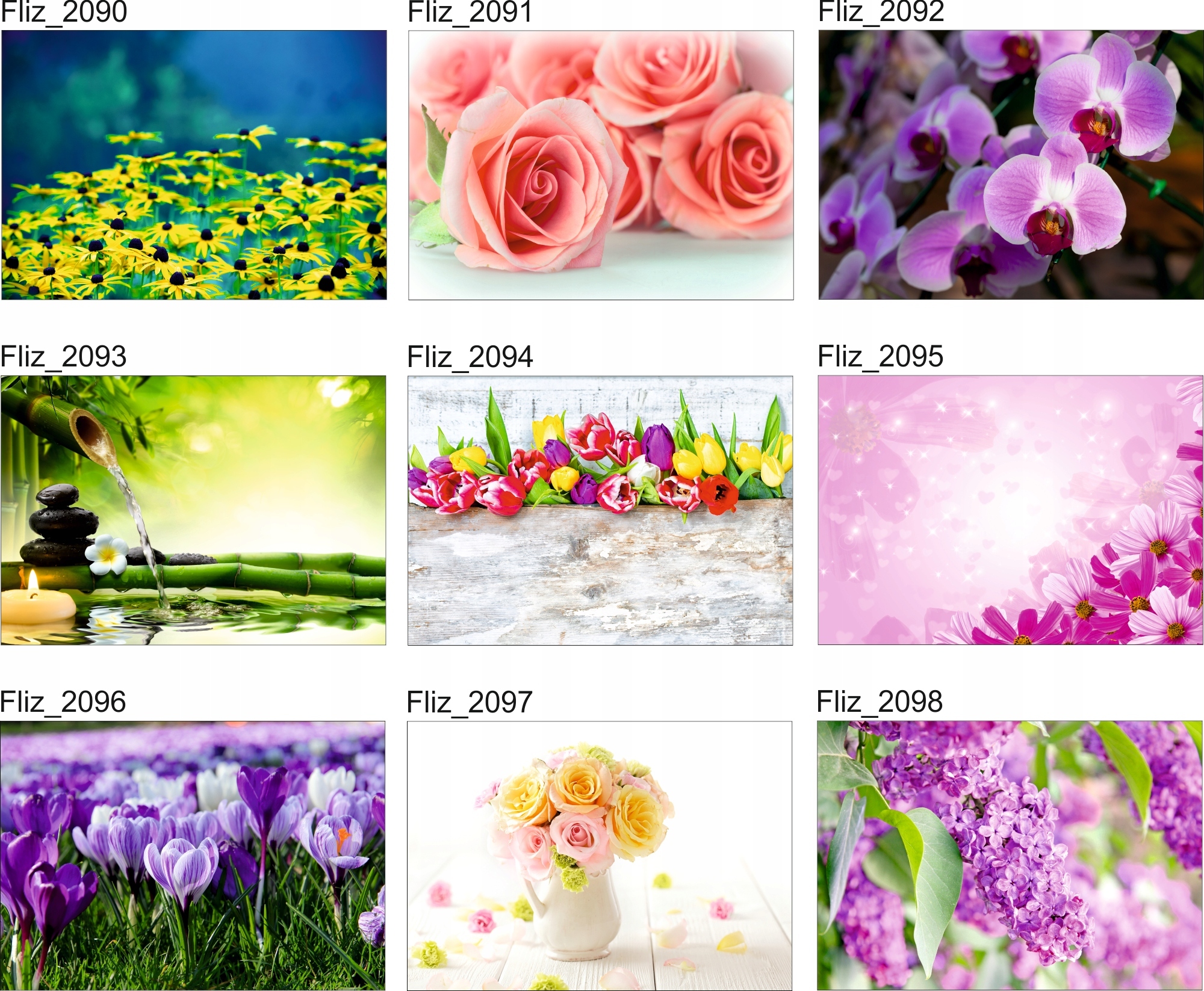 FOTOTAPETA KWIATY NATURA KAMIENIE CZERWONA RÓŻA