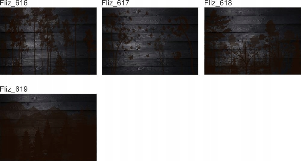 OBRAZ do pokoju salonu sypialni oko kobiety 120x80