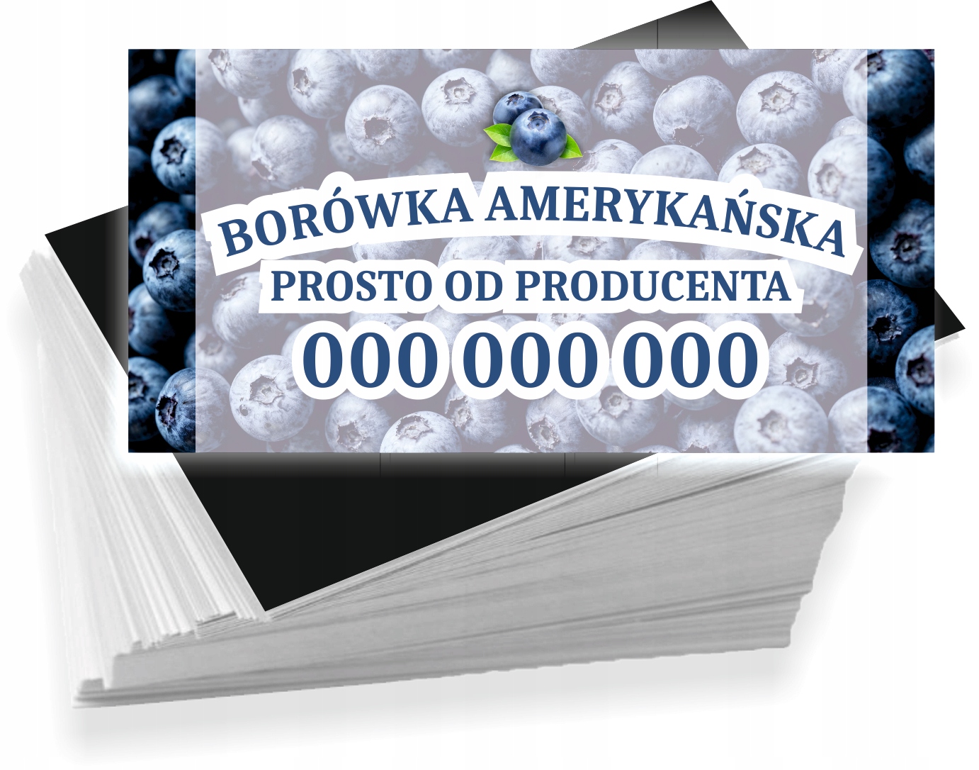 Wizytówki firmowe 200 szt RÓŻNE WZORY do wyboru BORÓWKA AMERYKAŃSKA