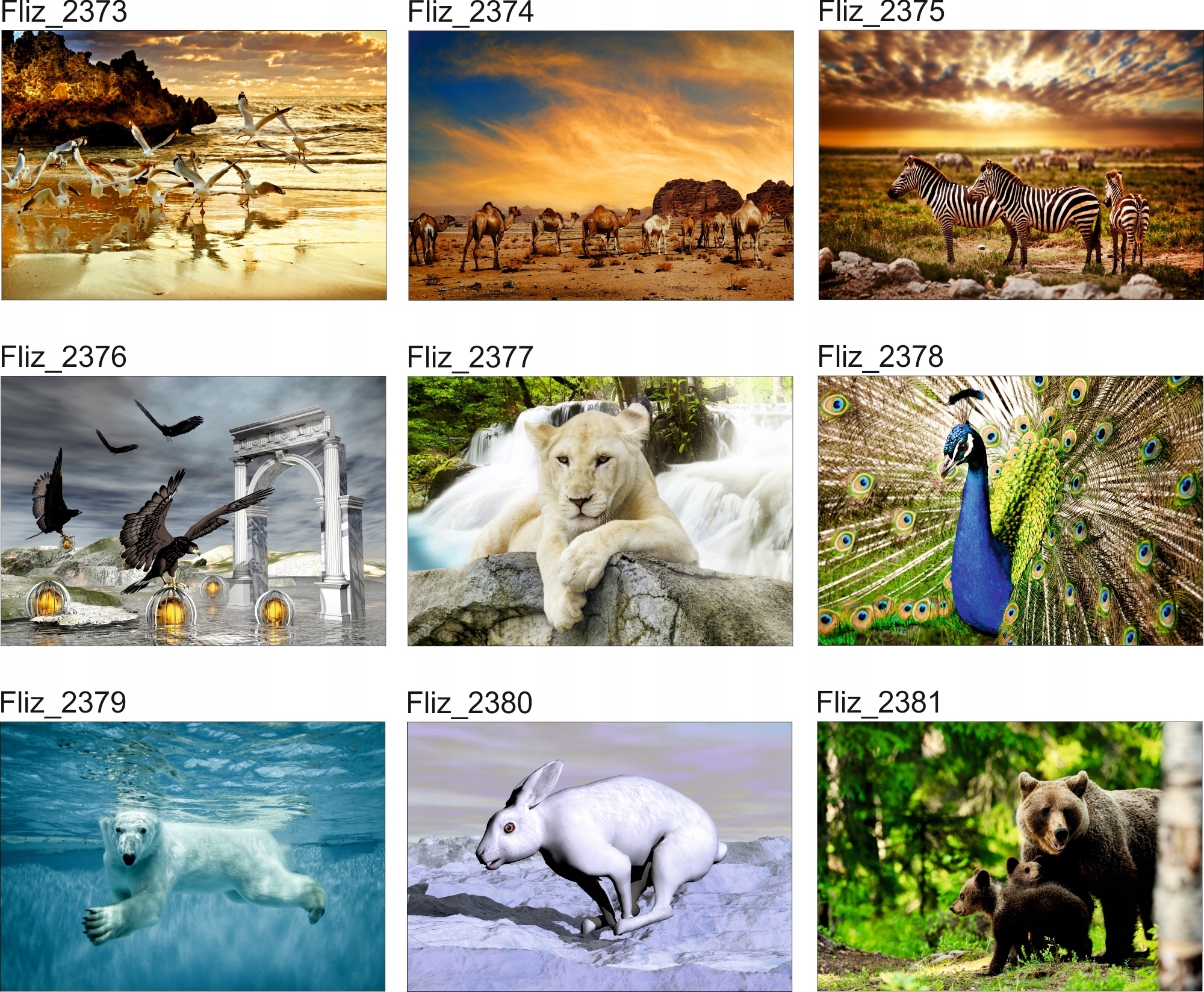 FOTOTAPETA ZWIERZĘTA NATURA MORZE RYBKI OCEAN