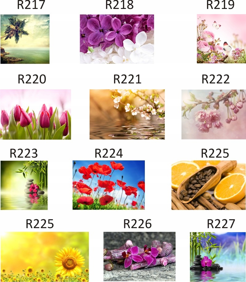 FOTOTAPETA rosliny KWIATY róże DUŻY WYBÓR WZORÓW