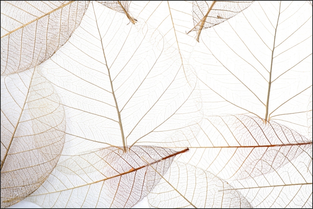 Tło FLAT LAY do fotografii produktowej kulinarnej