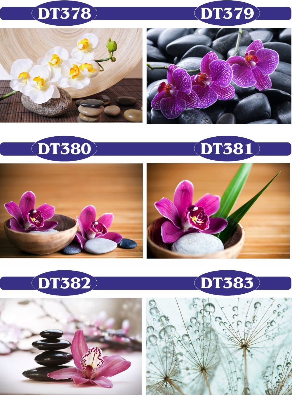 fototapety FOTOTAPETA na wymiar KWIAT kamienie SPA