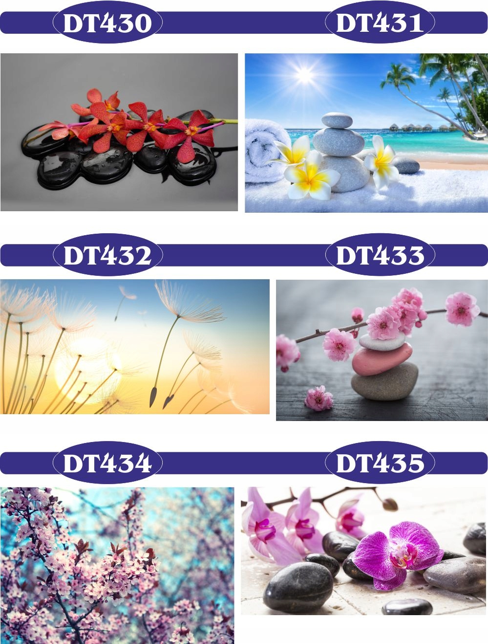 fototapety FOTOTAPETA na wymiar KWIAT kamienie SPA