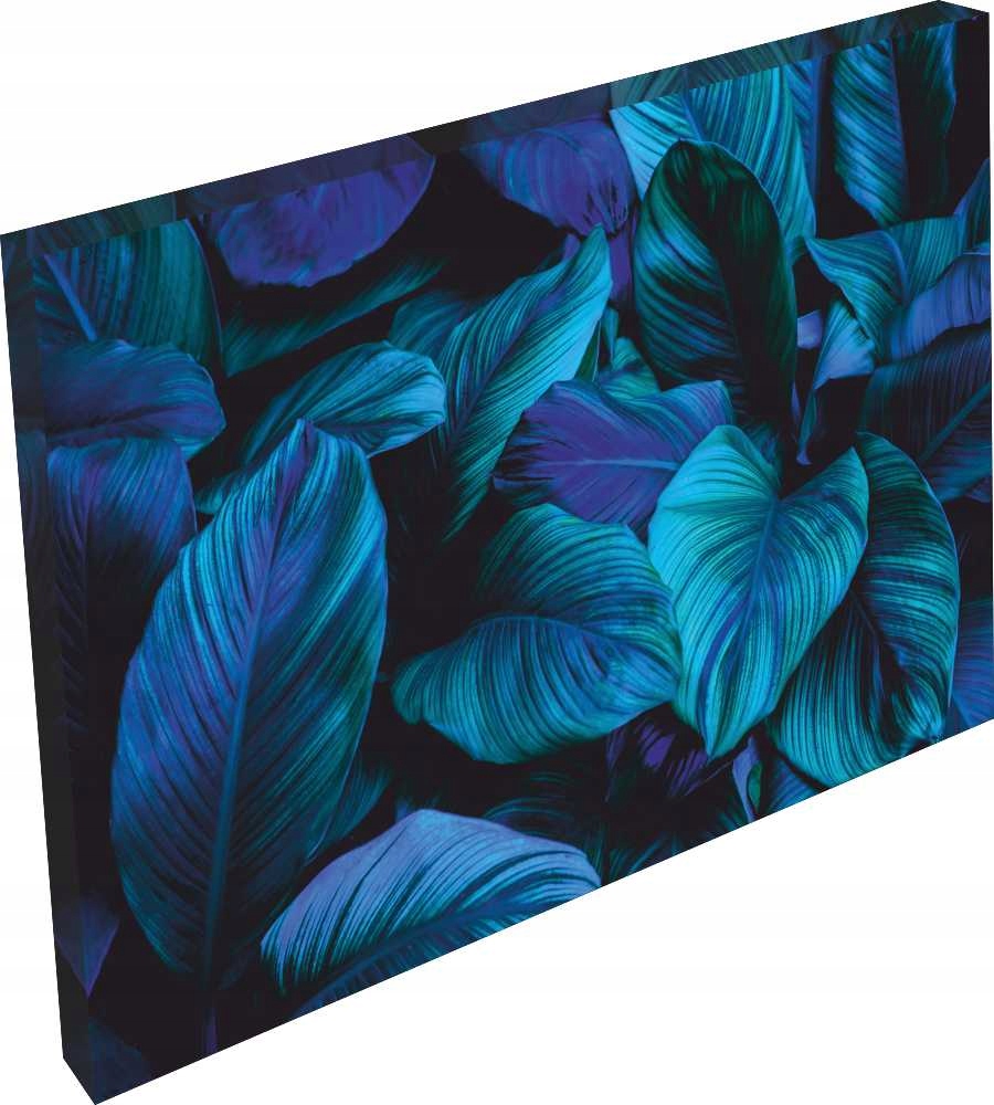 OBRAZ na płótnie lawendowe liście monstera 120x80