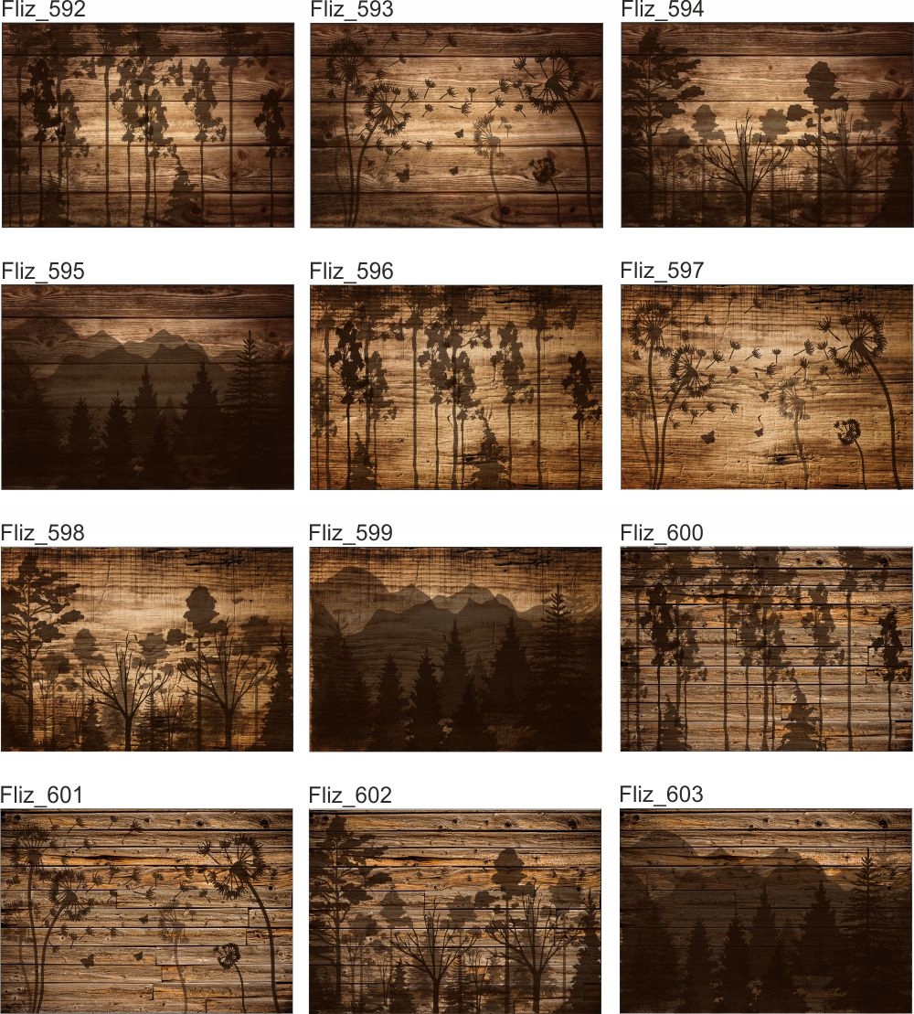 OBRAZ do pokoju salonu sypialni zwierzęta 120x80