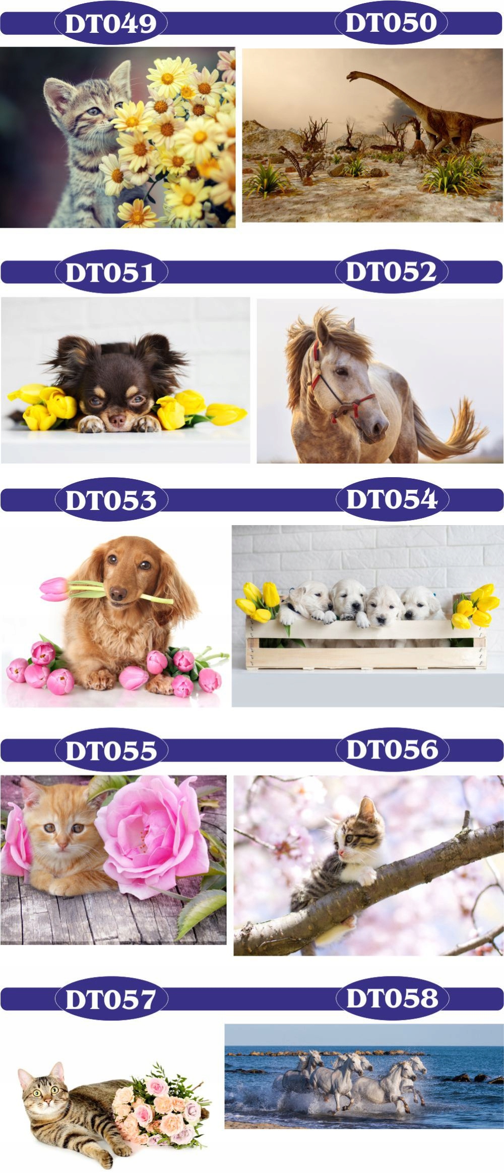 fototapety FOTOTAPETA 3d psy koty kwiaty zwierzęta