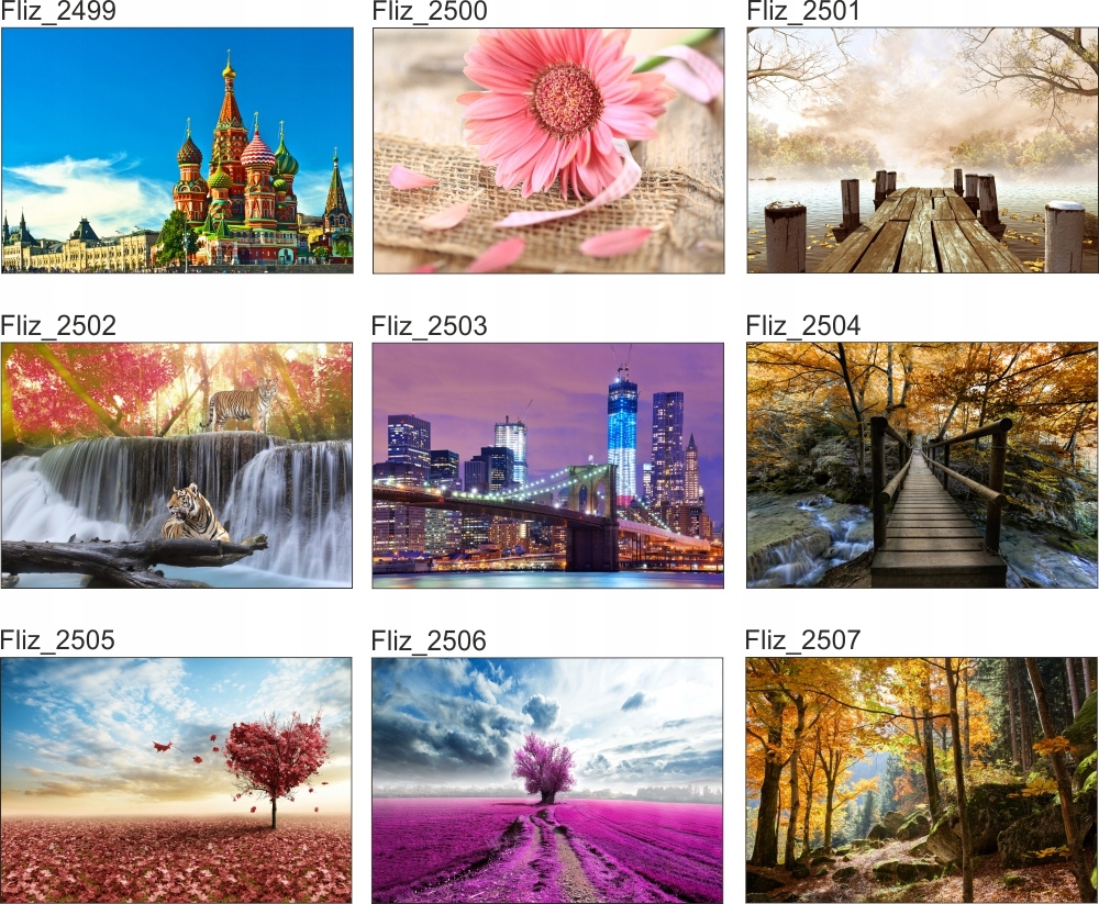 FOTOTAPETA CYTRUSY POMARAŃCZA CYTRYNA LIMONKA