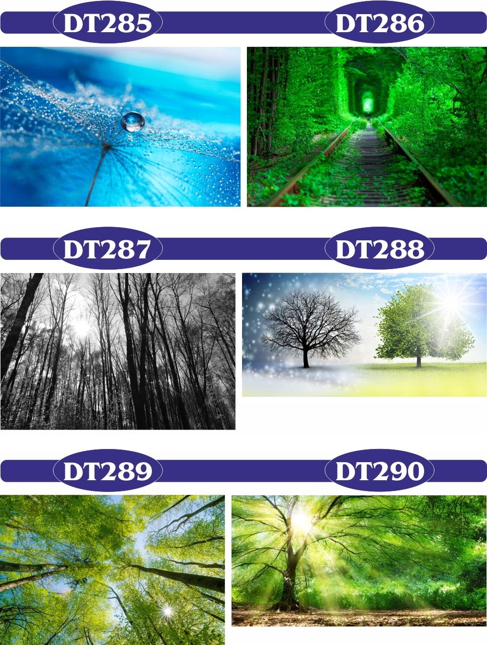 FOTOTAPETY 3d wodospad las drzewa 250x200