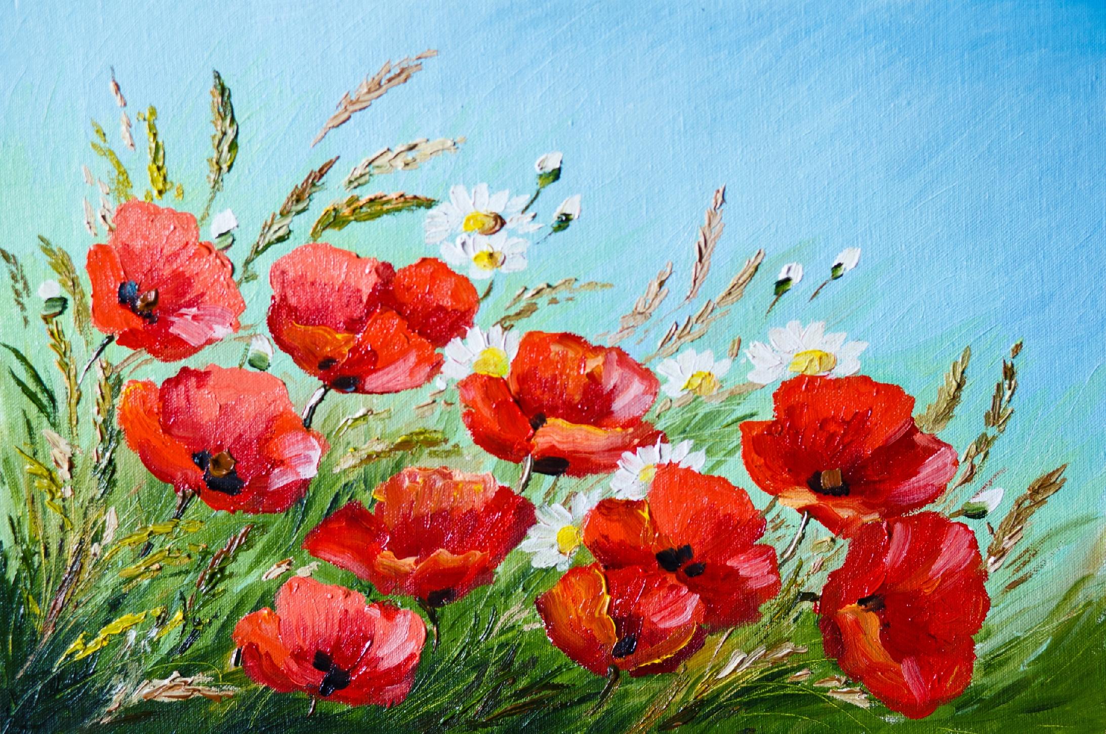 FOTOTAPETA KWIATY OBRAZ MAKI POLANA STOKROTKI