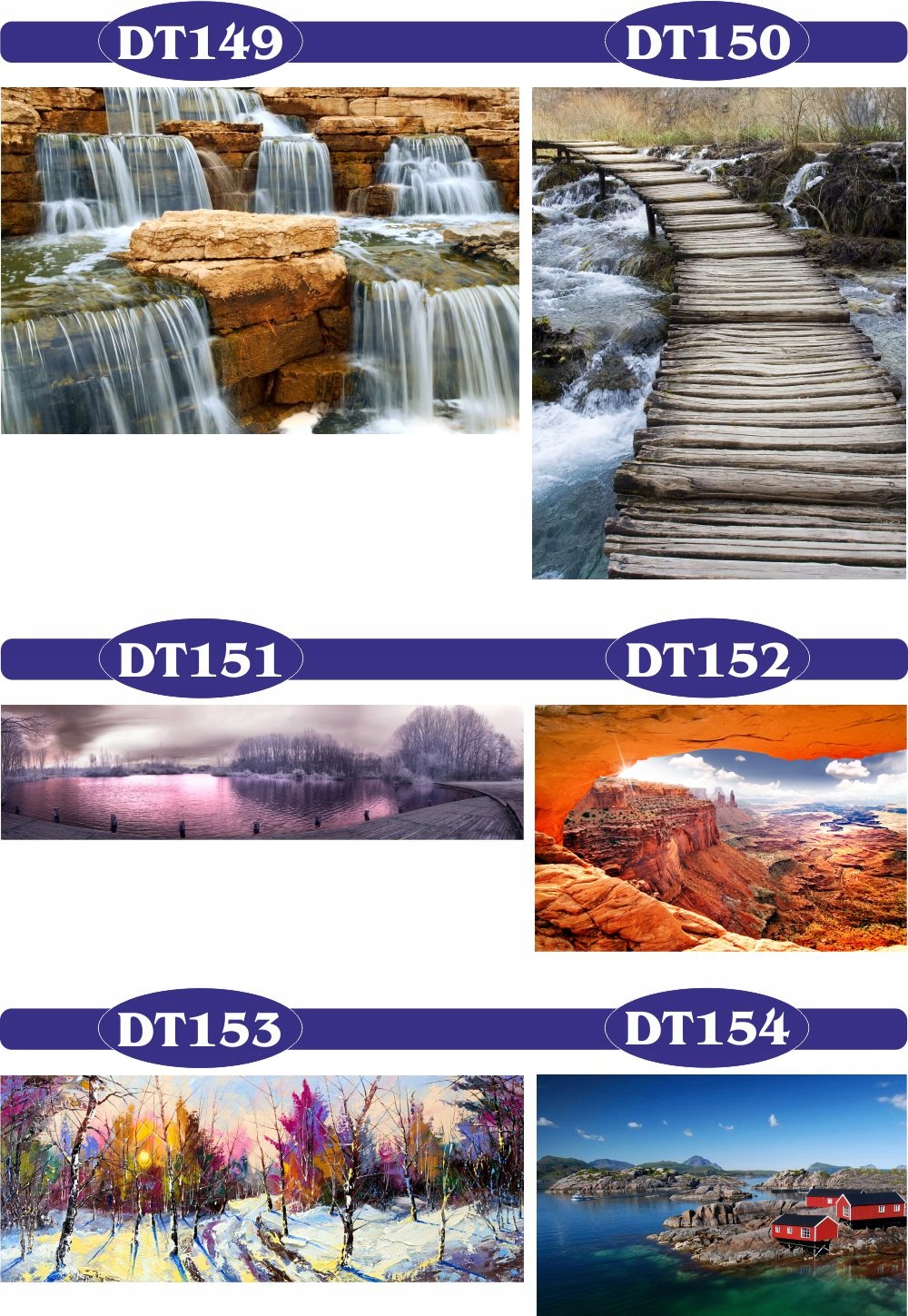 FOTOTAPETY 3d widoki kwiaty maki brzozy las drzewa