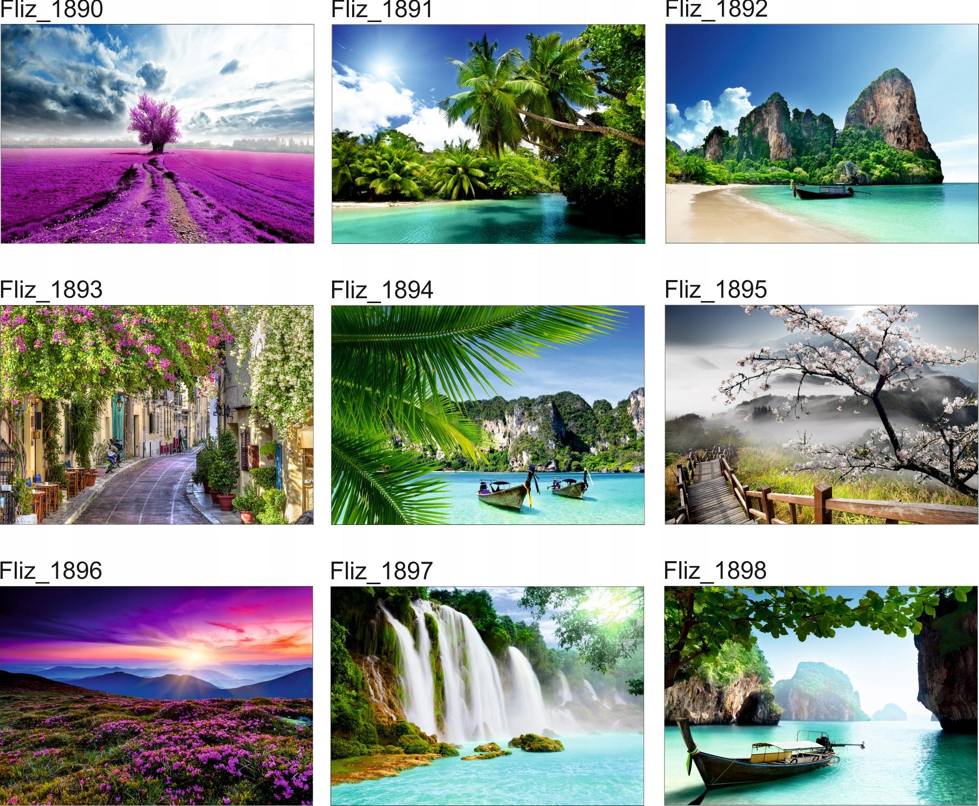 FOTOTAPETA KRAJOBRAZ WIDOK JESIEŃ PARK DRZEWA LAS