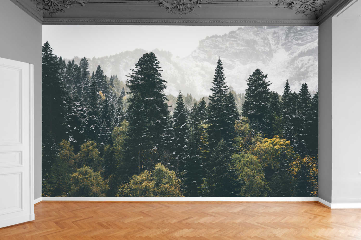 Fototapeta JESIENNY KRAJOBRAZ LAS IGLASTY GÓRY