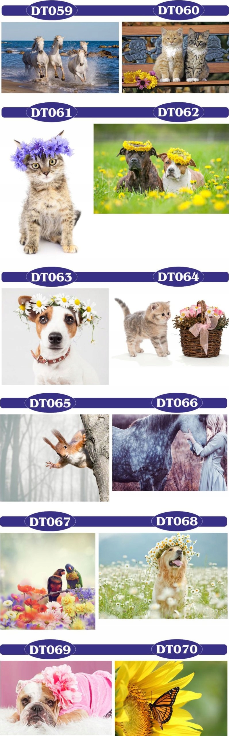 fototapety FOTOTAPETA 3d psy koty kwiaty zwierzęta