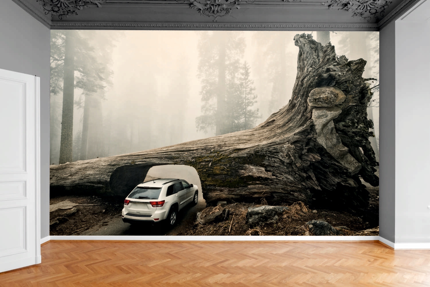 Fototapeta PIEŃ DRZEWA LAS MOST AUTO 130x80