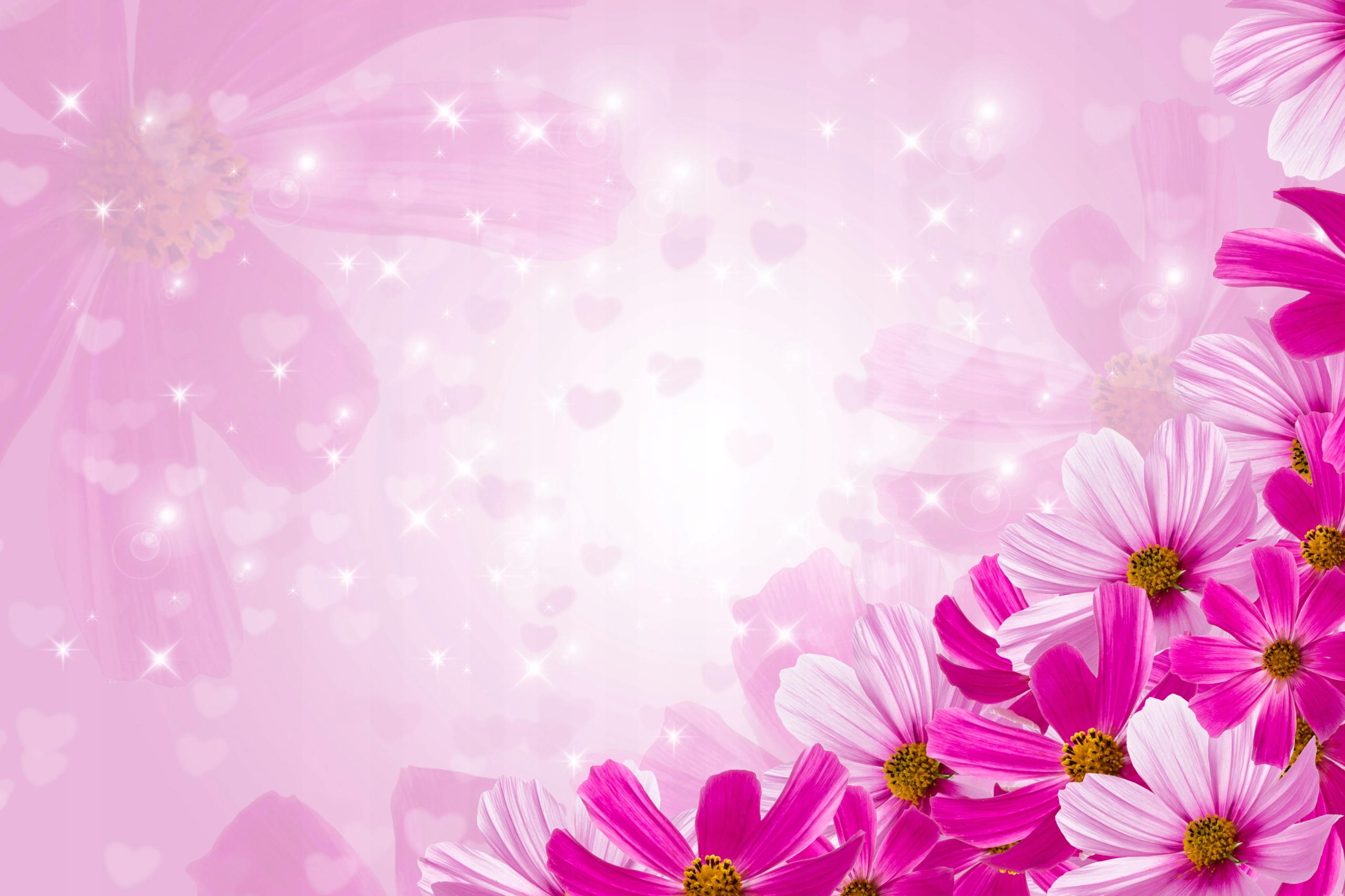 FOTOTAPETA KWIATY SERCA NA WYMIAR SALON