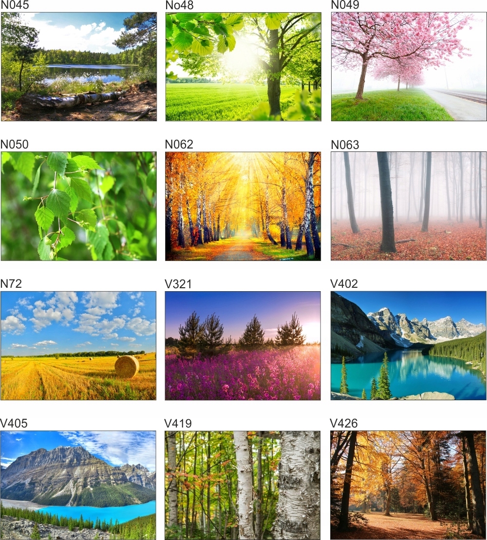 Fototapeta 3D WIDOK most w górach 260x200 FLI