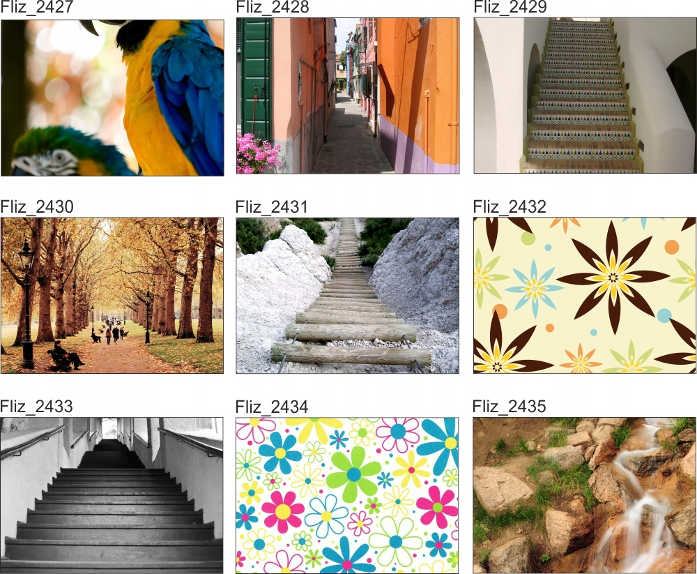 FOTOTAPETA CYTRUSY PLASTRY CYTRYNY POMARAŃCZY