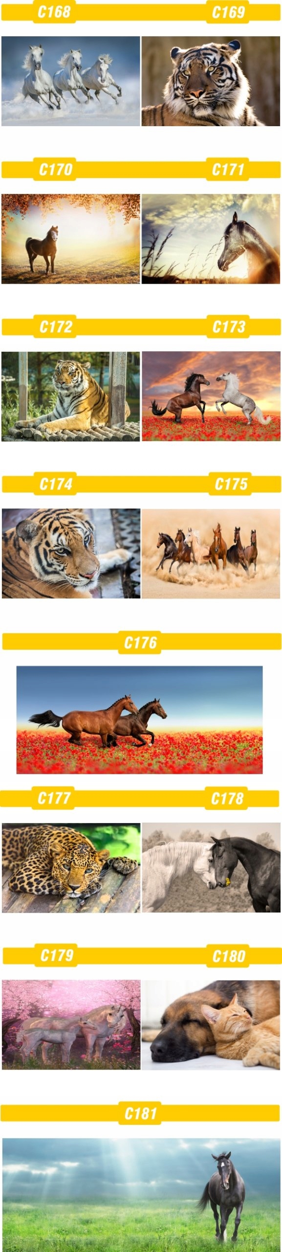 FOTOTAPETA zwierzęta brodzące FLAMINGI animacja