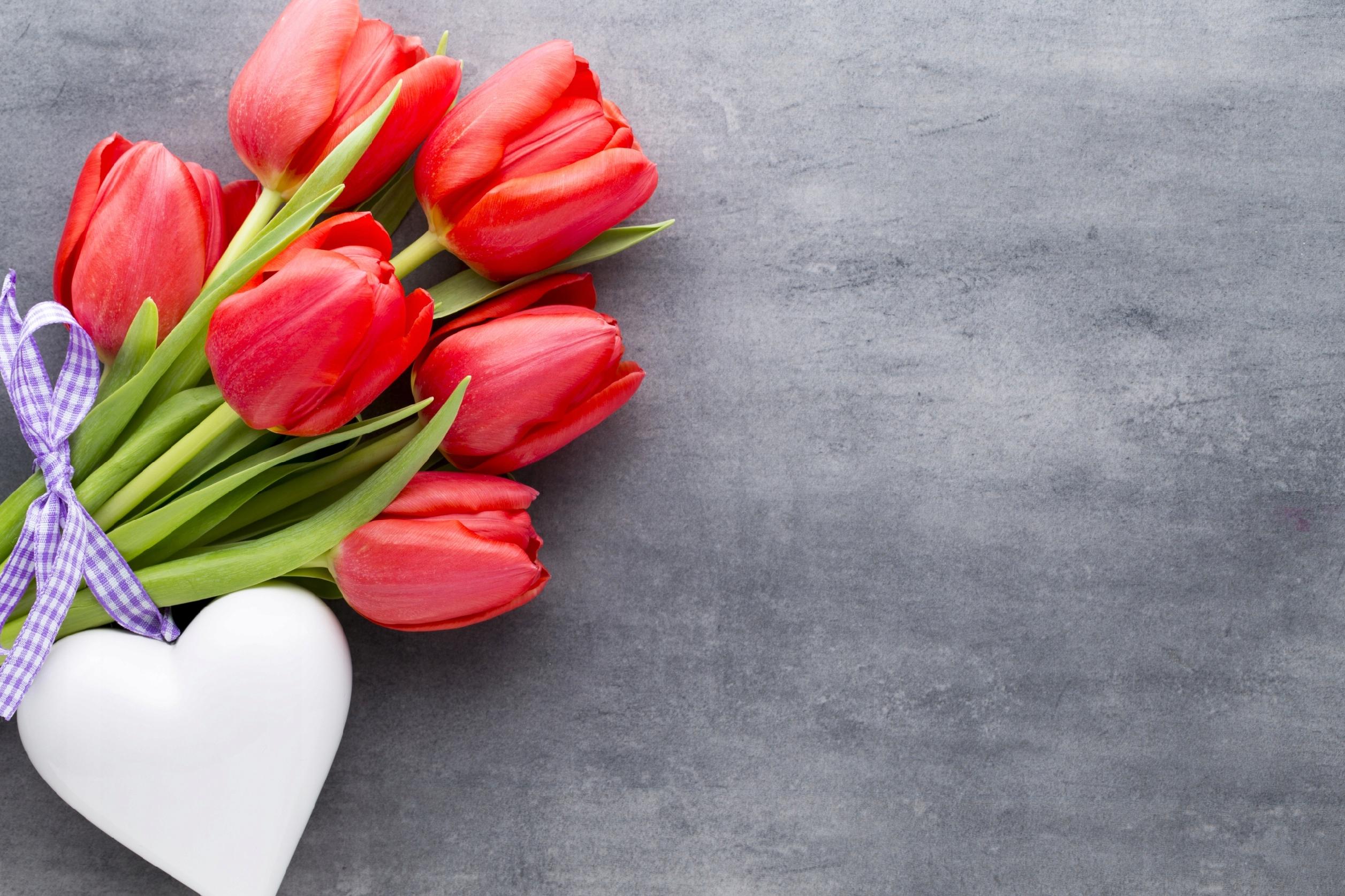 FOTOTAPETA KWIATY CZERWONE TULIPANY BIAŁE SERCE