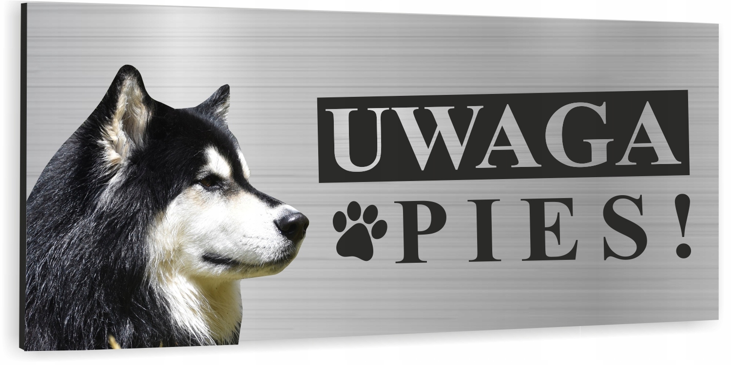 Tabliczka UWAGA ZŁY PIES SYBERIAN HUSKY aluminium