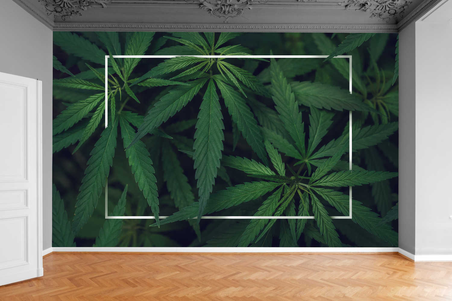 Fototapeta TROPIKALNE LIŚCIE KONOPII 3D 200x130