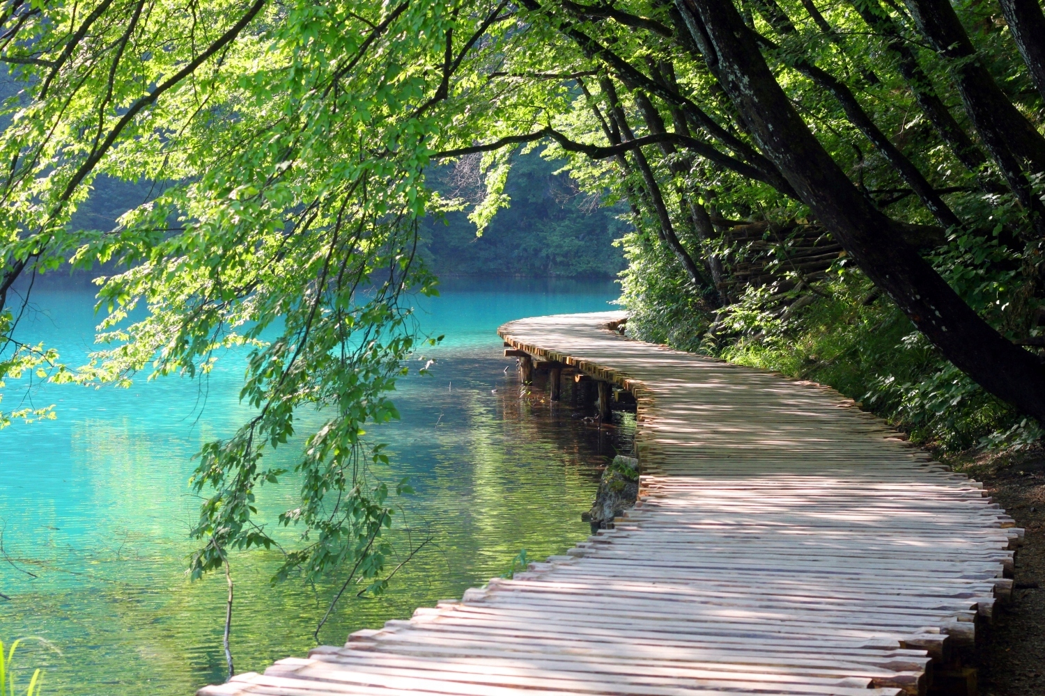 FOTOTAPETA widok most jezioro 200x130