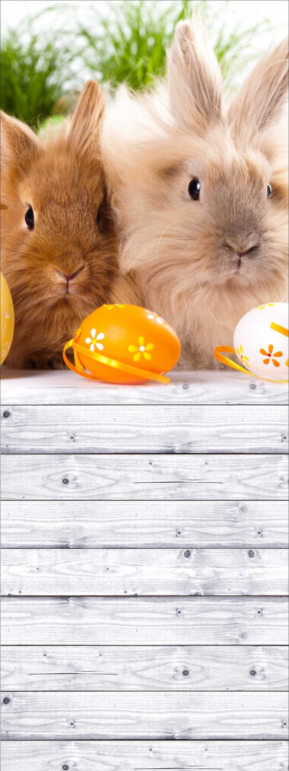 TŁO FOTOGRAFICZNE ścianka Wielkanoc święta 1,5x4m