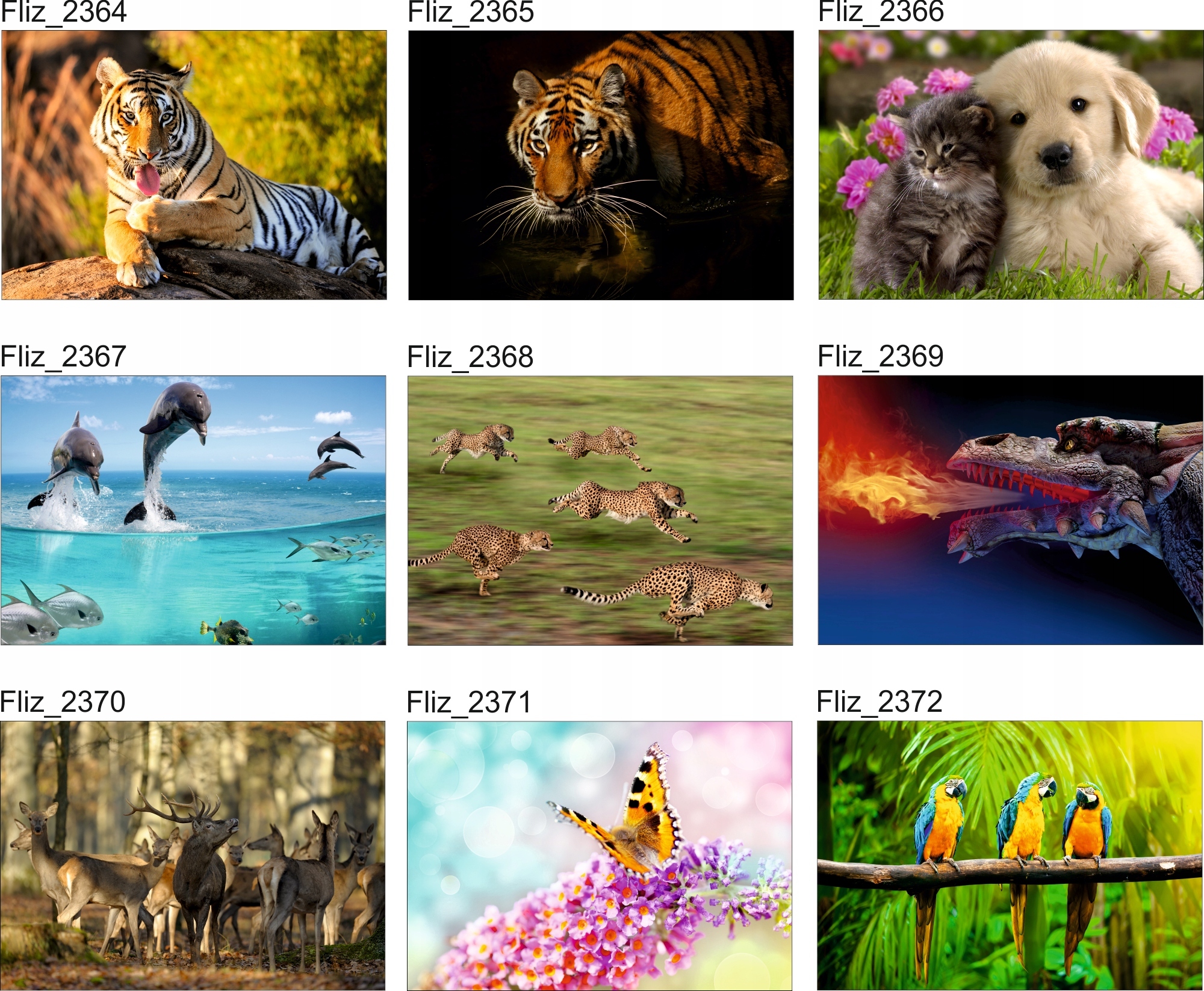 FOTOTAPETA ZWIERZĘTA SOWA NATURA