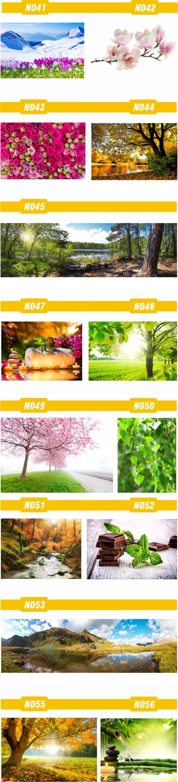 FOTOTAPETA rosliny KWIATY róże DUŻY WYBÓR WZORÓW