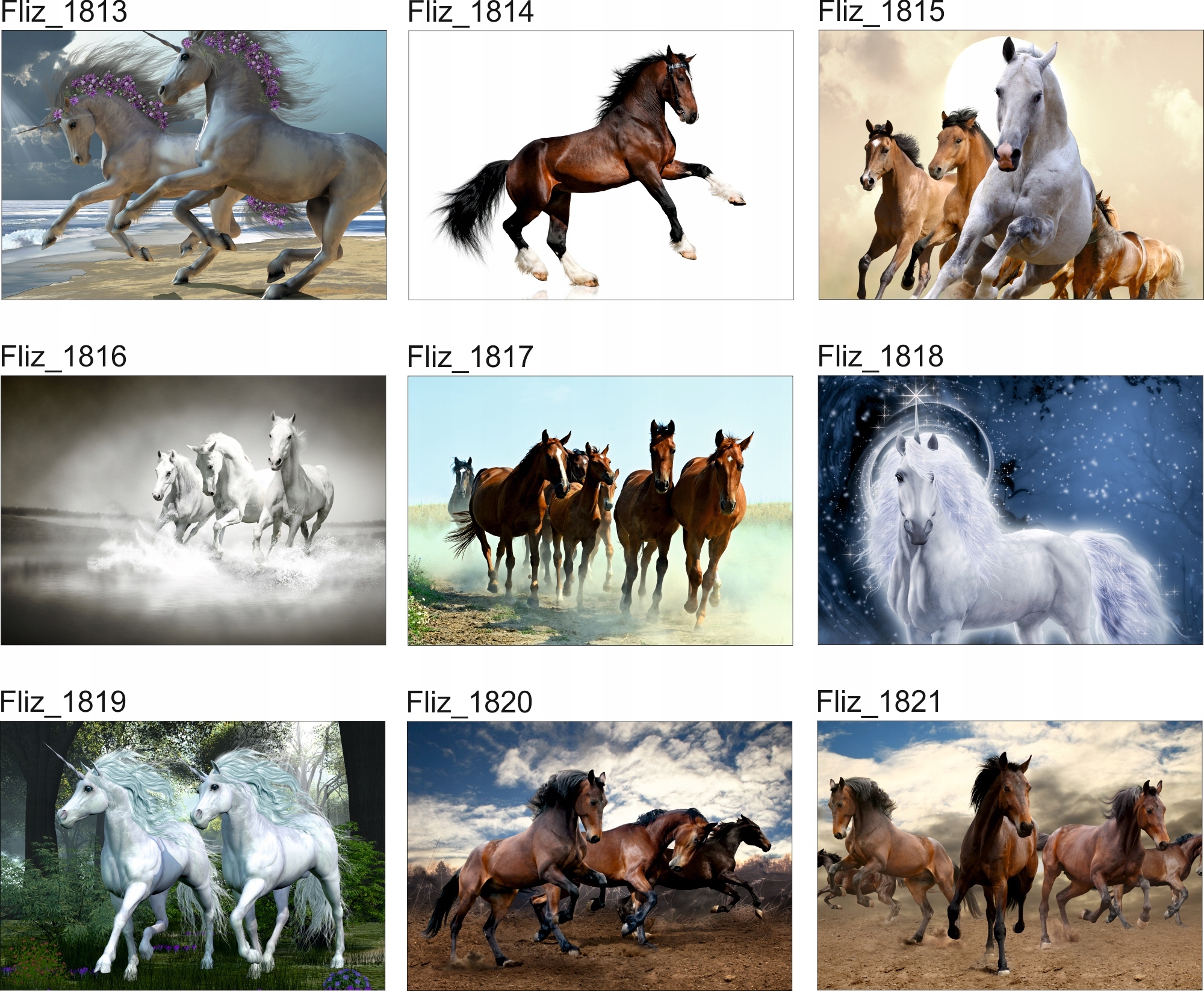 FOTOTAPETA KOT ZWIERZĘTA NATURA