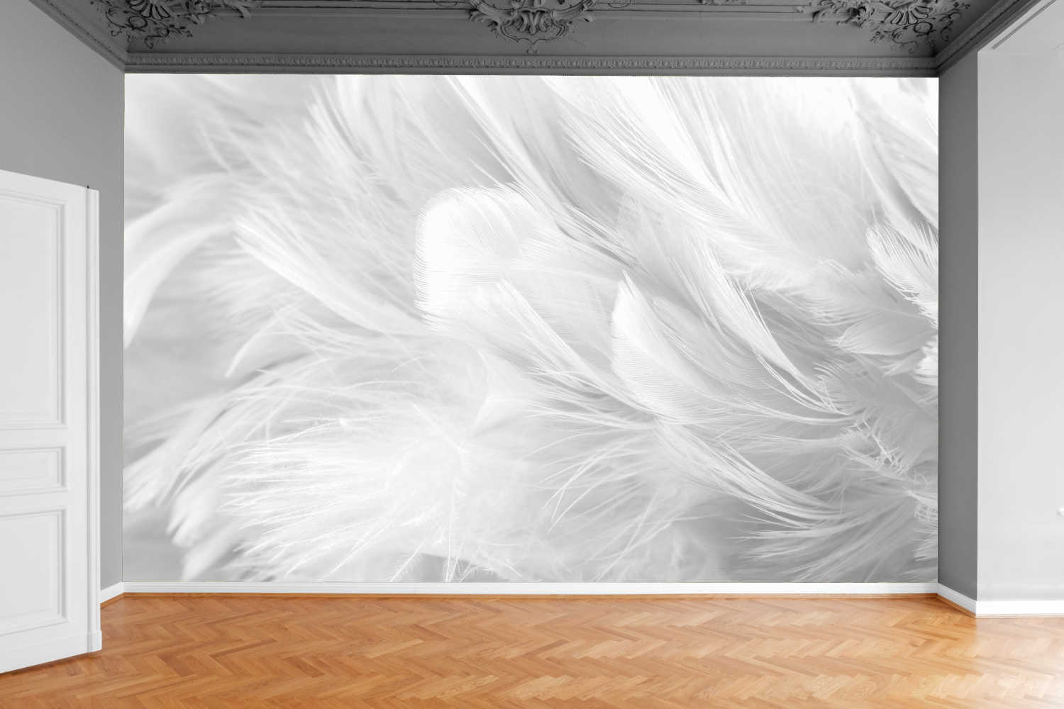 Fototapeta DELIKATNE PTASIE JEDWABNE PIÓRA