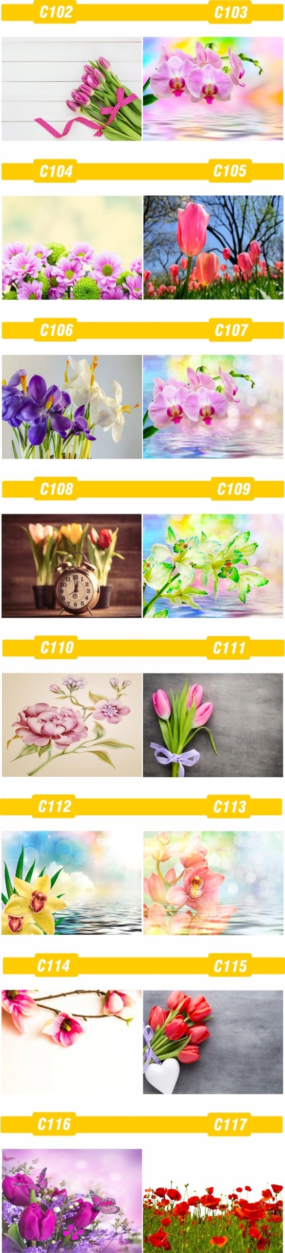 FOTOTAPETA rosliny KWIATY róże DUŻY WYBÓR WZORÓW