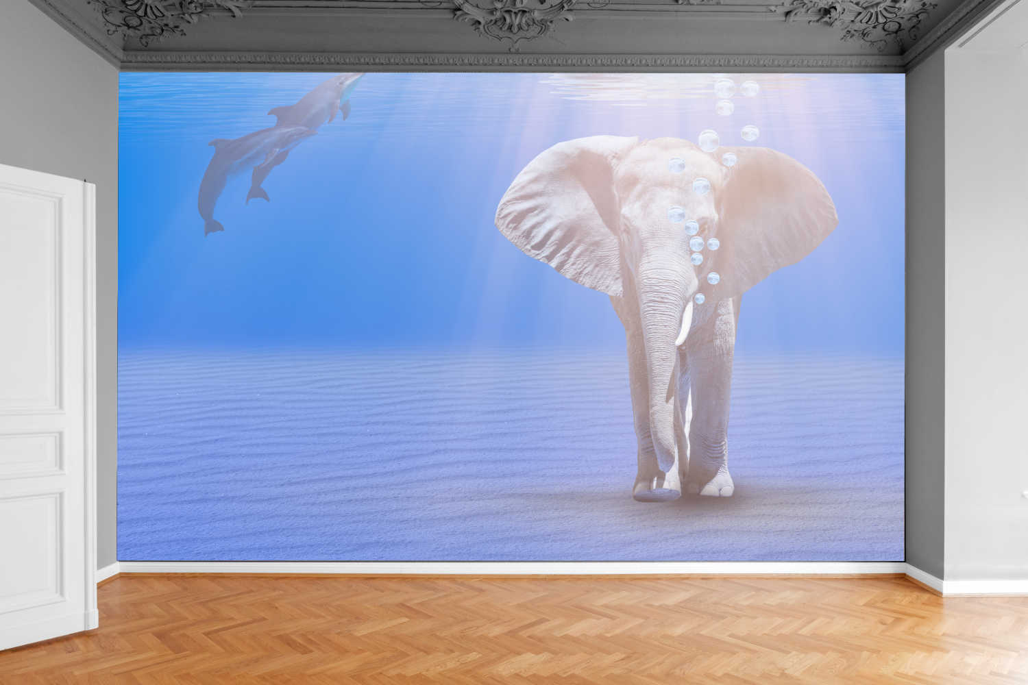 Fototapeta AFRYKAŃSKI SŁOŃ IDĄCY DNEM OCEANU