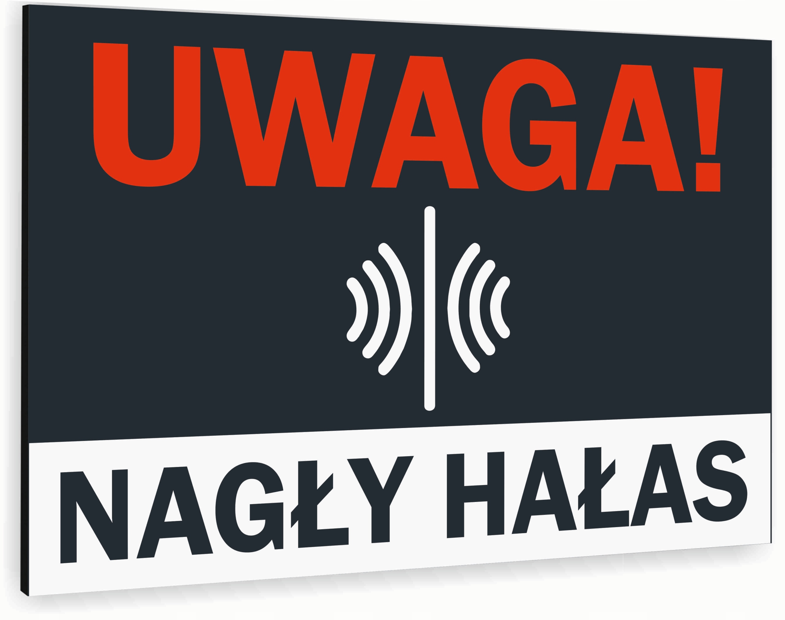 Tabliczka znak informacyjny 30x20 Antracyt NAGŁY HAŁAS Nierdzewna